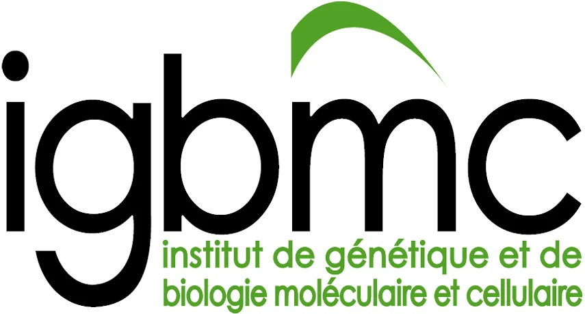igbmc